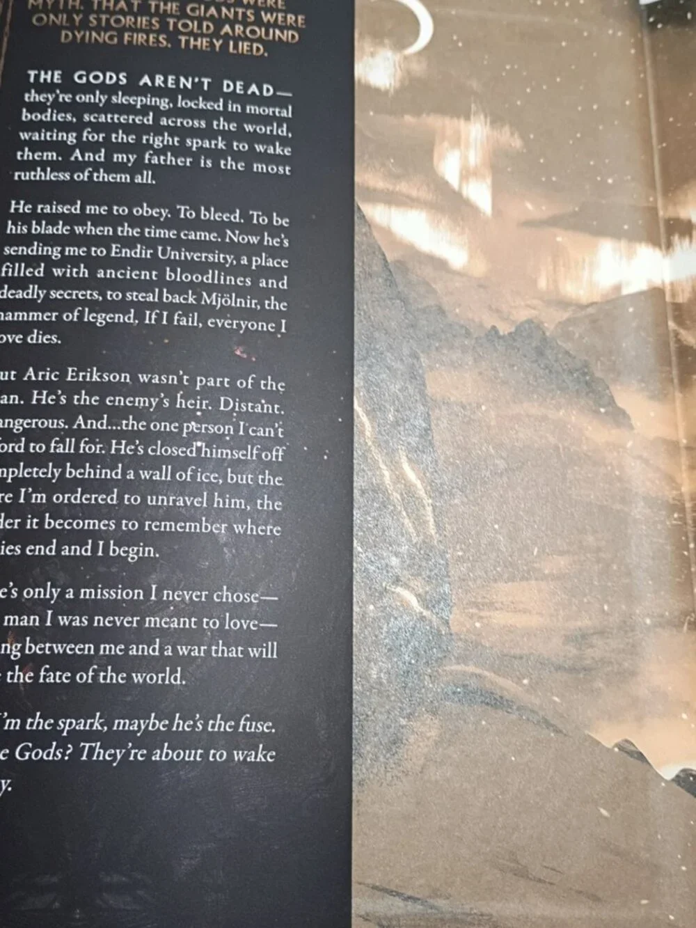 Fallen Gods Deluxe Hardcover Book Rachel Van Dyken Red Tower Books Isbn 16493746